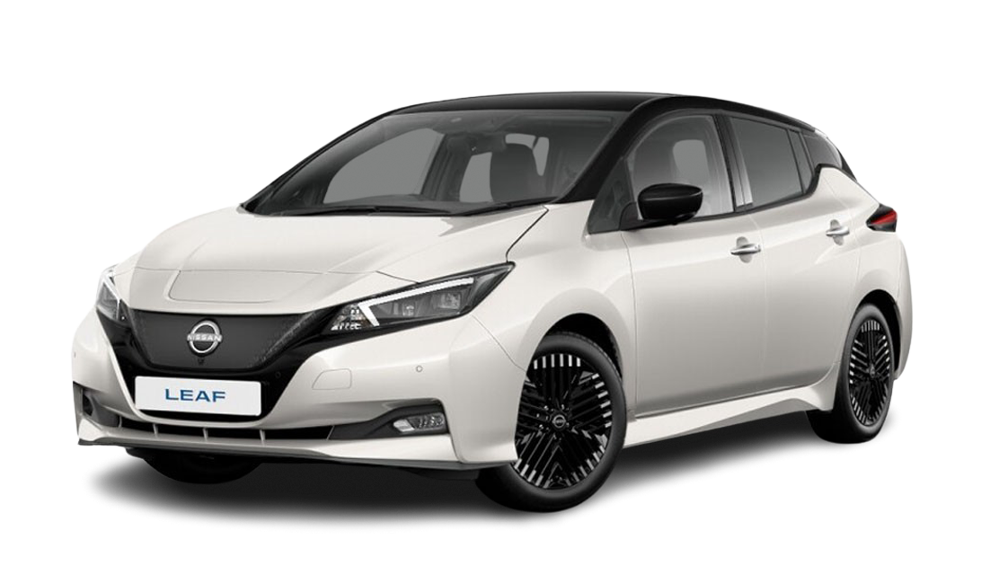 nisan leaf