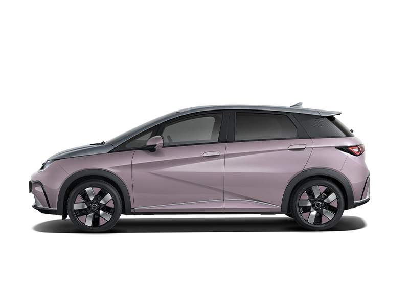 dolphin-lateral-coral Nuevo byd Dolphin Design coche electrico