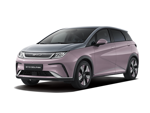 Nuevo byd Dolphin coche electrico