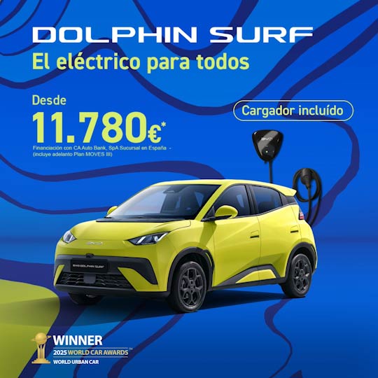 Dolphin Surf