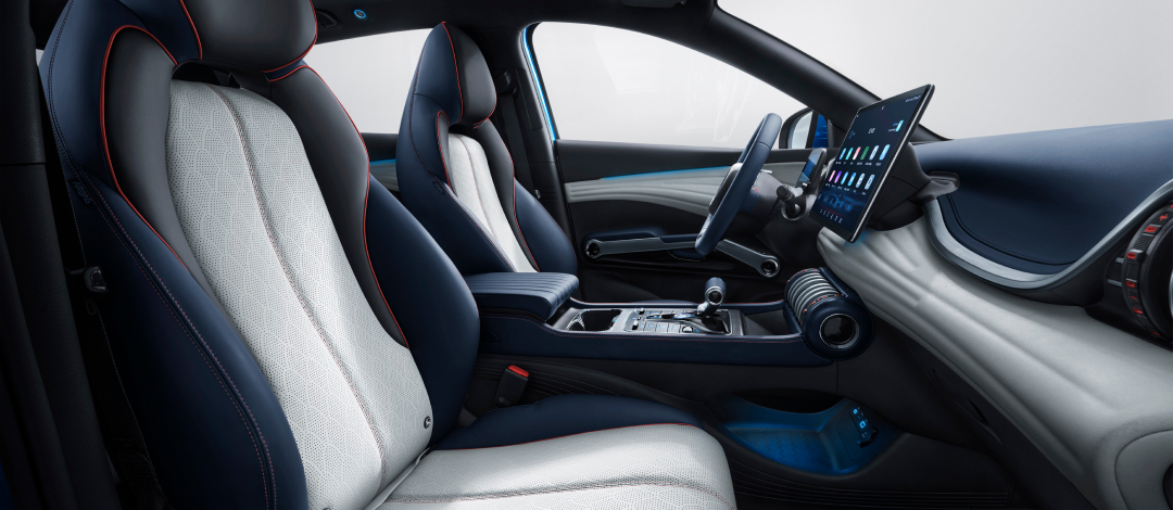 F02-Sub01 Interior BYD Dolphin Surf