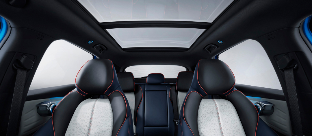 F02-Sub05 Byd Dolphin Surf urbano interior
