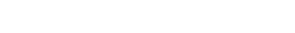 LogoRENAULT-Blanco-06