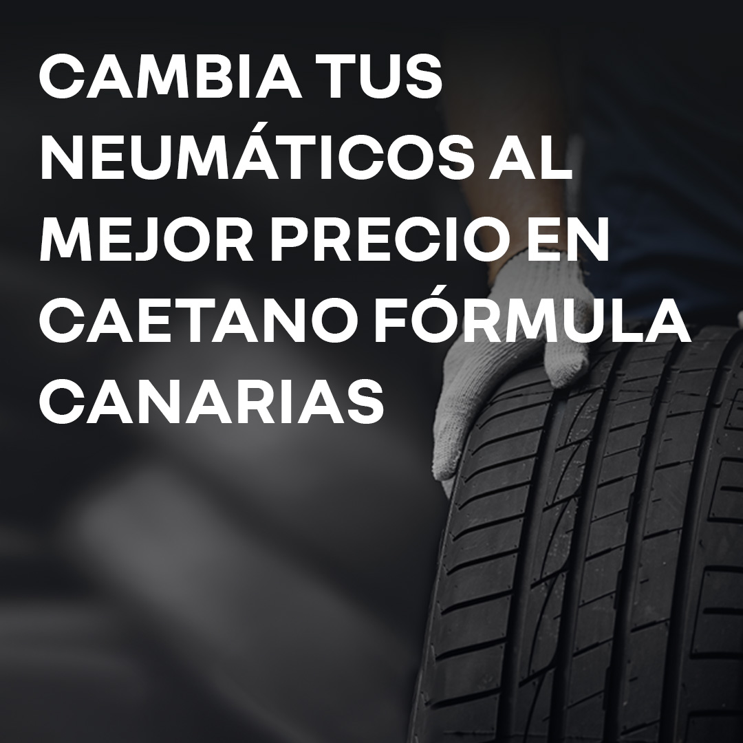 Neumáticos