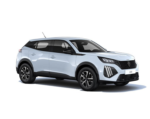 peugeot_0000s_0002_2008
