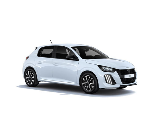 peugeot_0000s_0004_208
