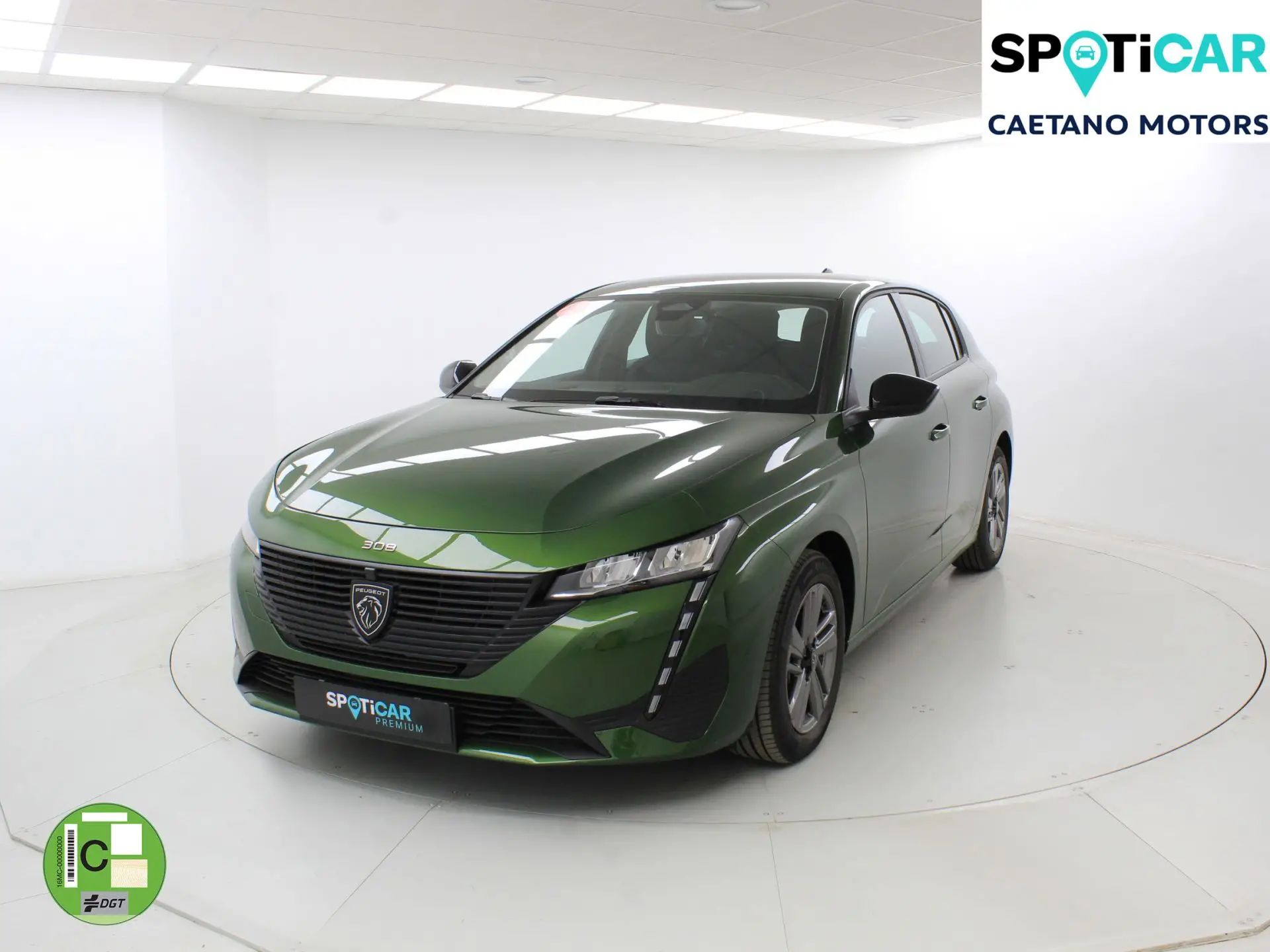 308 active