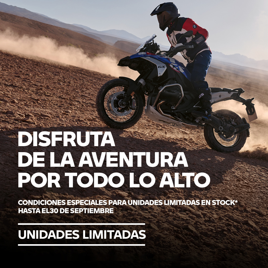 R1300gs